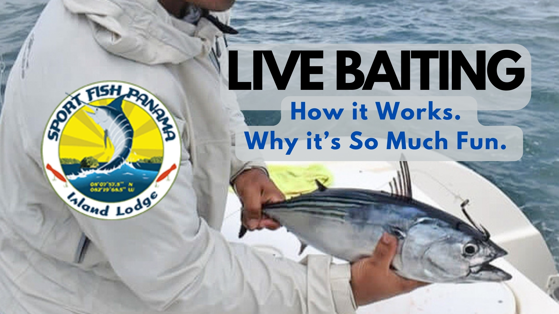 Live Baiting: How it Works, Why it’s So Much Fun