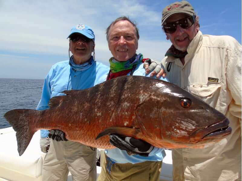 panama fishing report