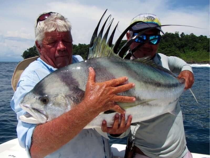 panama rooster fishing