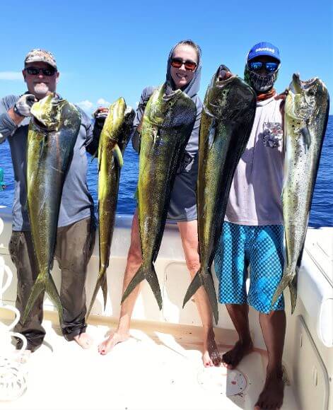 Angling trio posing with Dorado, also known as ‘Mahi-Mahi’ or ‘Dolphin’