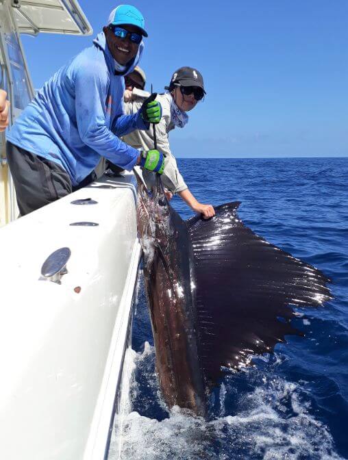 Mate releasing a Pacific Sailfish or 'Pez Vela'