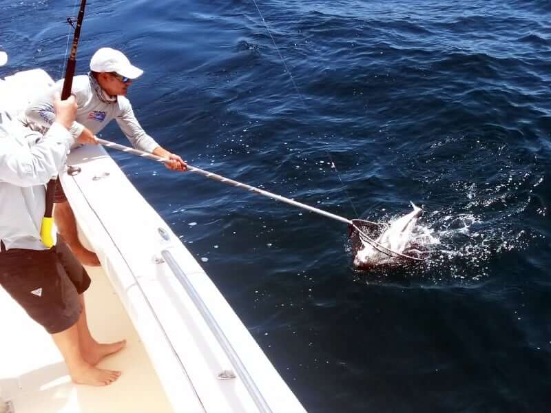 panama fishing report