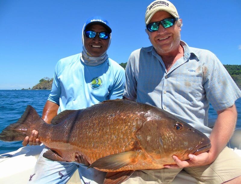 cubera snapper panama
