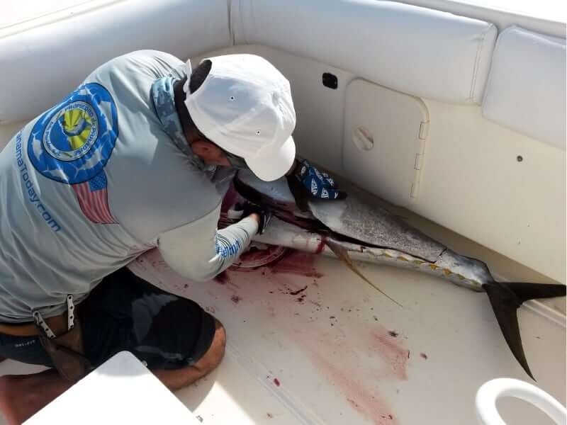 panama fishing report