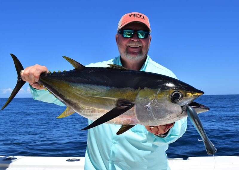 roosterfish panama