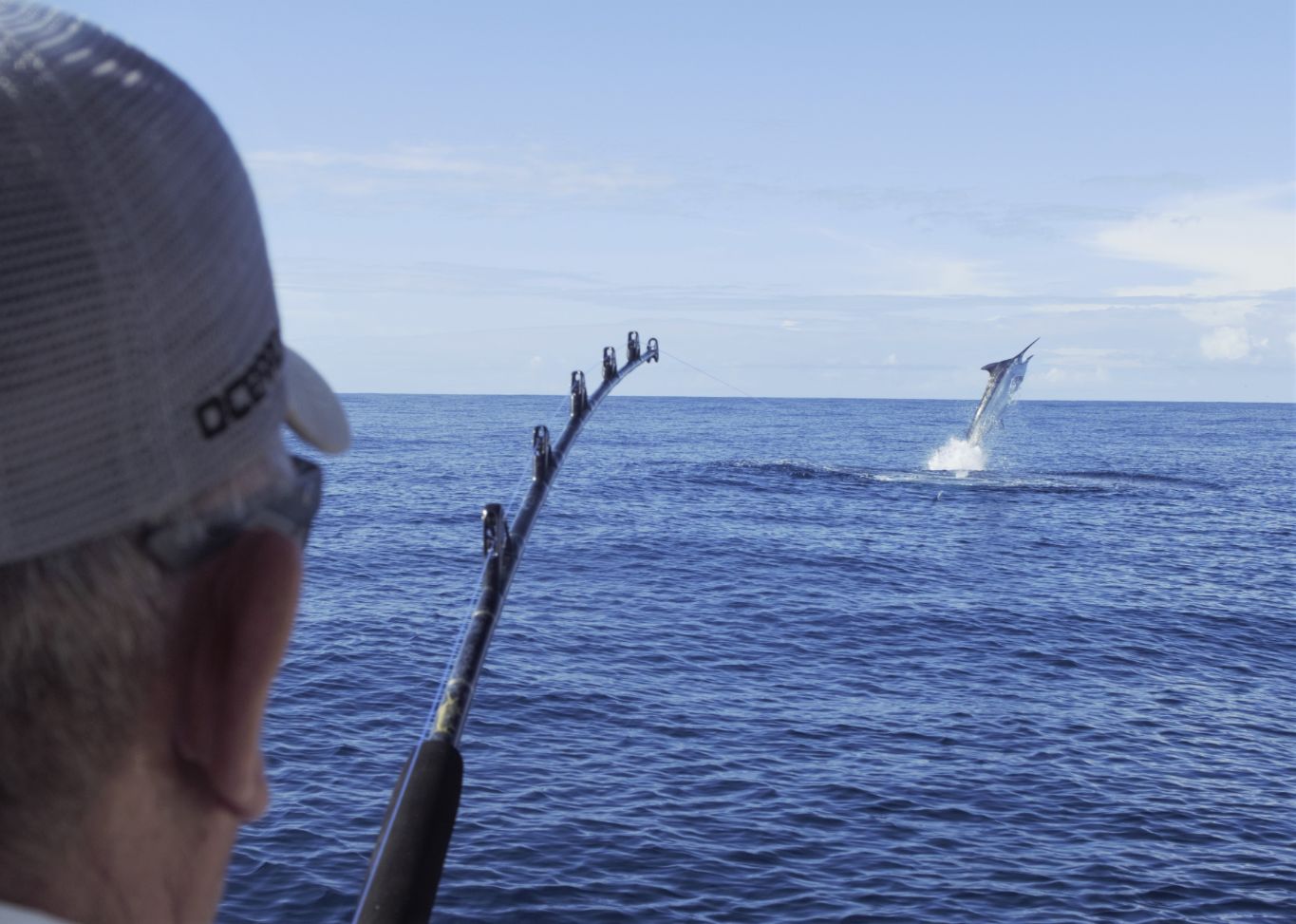 Hooked marlin jumping with angler holding rod in the foreground