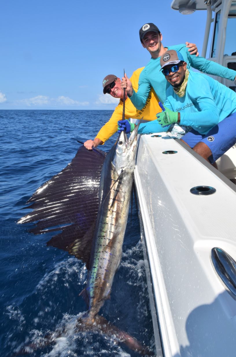 Mate and 2 anglers holding sailfish for release alongside boat