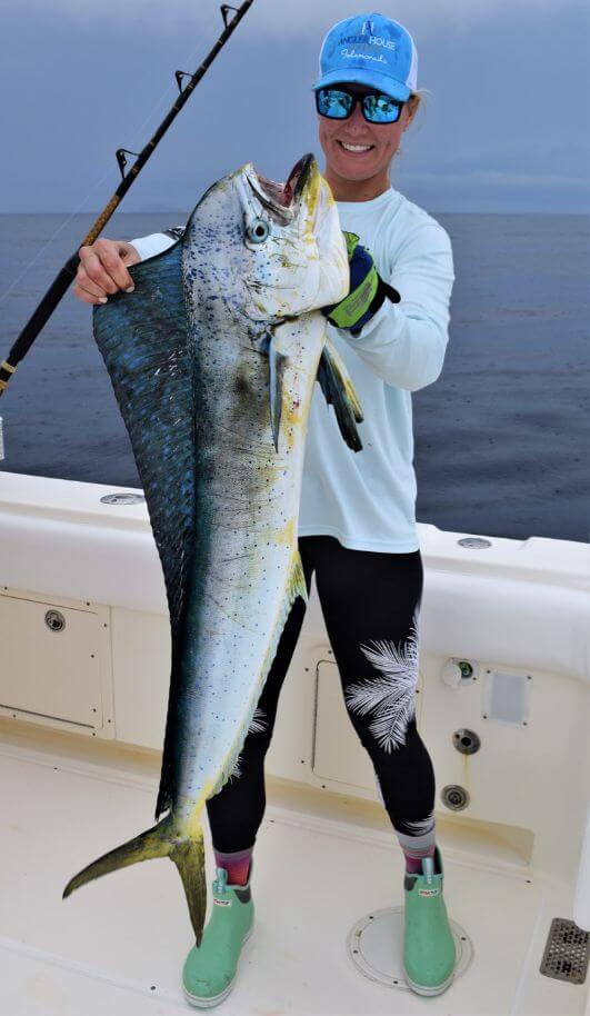 Lady angler posing with Dorado, also known as ‘Mahi-Mahi’ or ‘Dolphin’