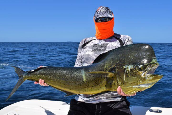 Masked angler posing with Dorado, also known as ‘Mahi-Mahi’ or ‘Dolphin’ . Isla Montuosa, Panama in background.