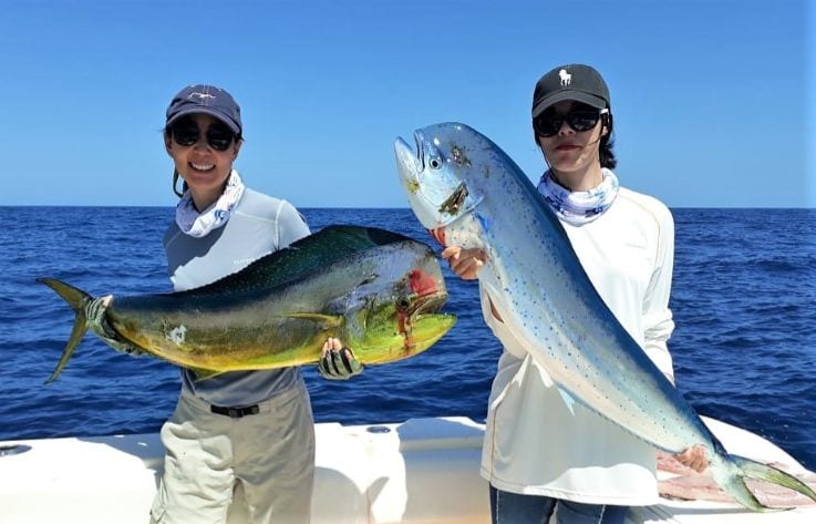 Attractive female anglers posing with Dorado, also known as ‘Mahi-Mahi’ or ‘Dolphin’