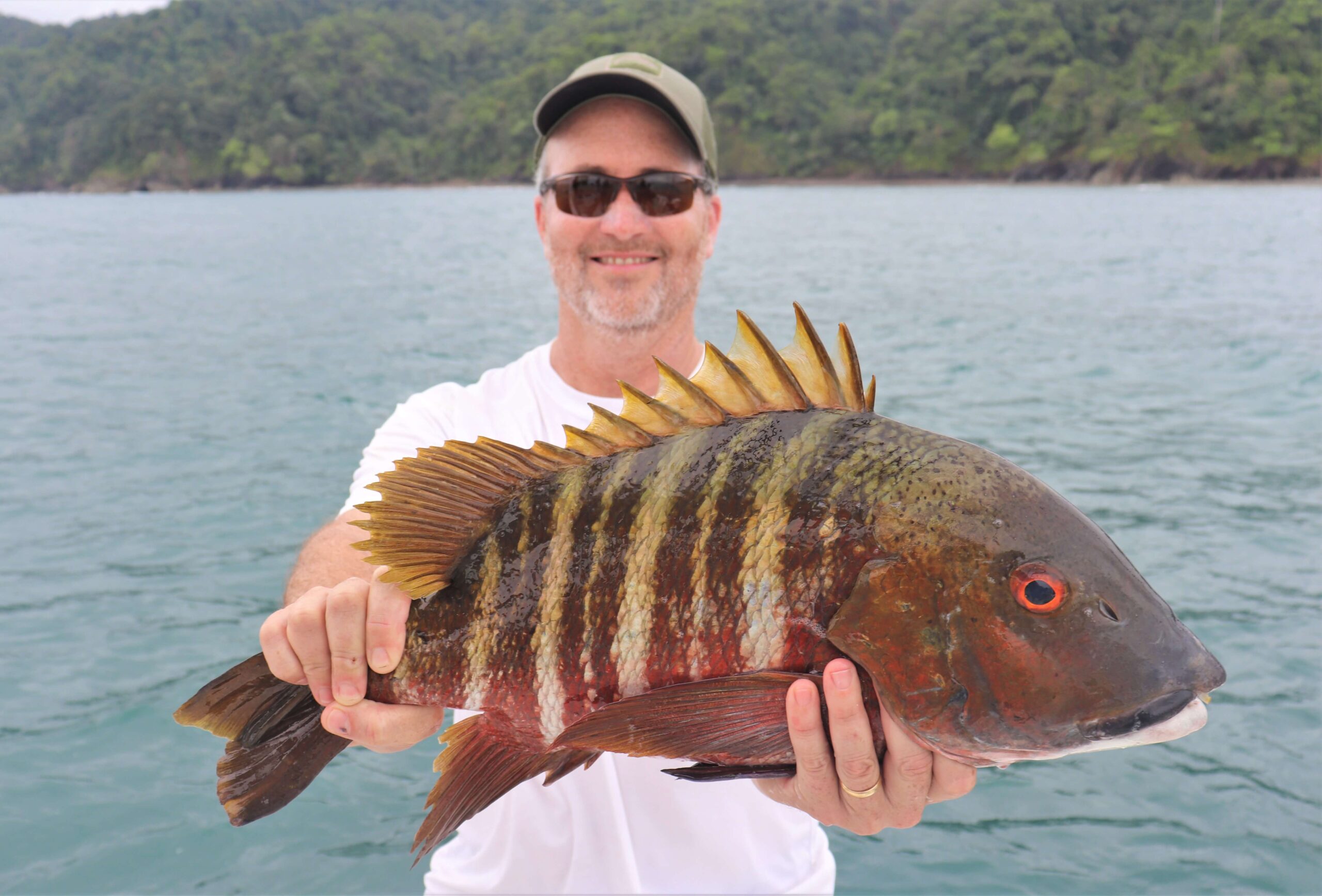mexican barred pargo snapper held by fisherman