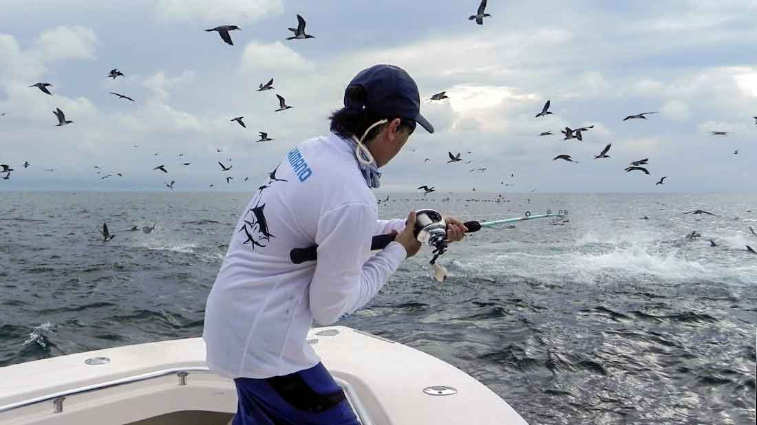 Angler fighting yellowfin tuna in a tuna boil