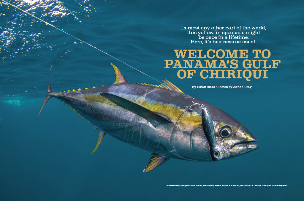 Feature Article in Saltwater Sportsman!!!